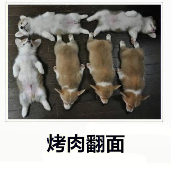 冬季烧烤的火候掌握技巧